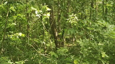 IMG_20250608_115813 (1)