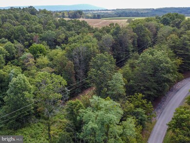 0 Lot 2 Sleepywoods Rd, Cross Junction, VA 22625 - photo 4