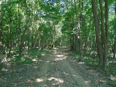 000 Estill Baker Rd, Hanson, KY 42413 - photo 7