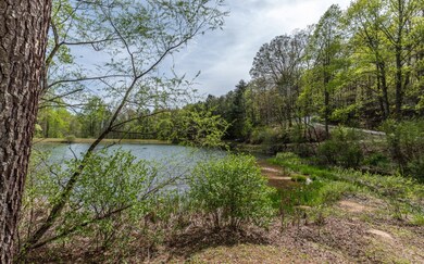 LT 59 Big Creek Mountain, Ellijay, GA 30536 - photo 7