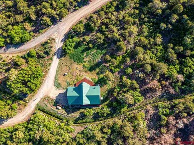 20101 Squirrel Rock Rd, Cedaredge, CO 81413 - photo 4