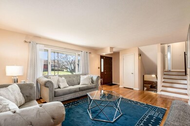 Living Room - Entry Level