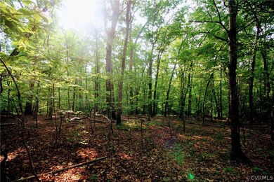 0 Stubbs Bridge Rd unit 2125675, Mineral, VA 23117 - photo 5