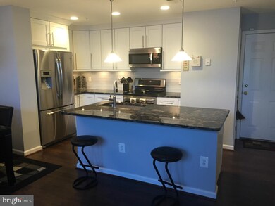 42289 Onyx Terrace unit 703, Stone Ridge, VA 20105 - photo 3