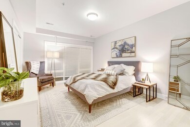 2012 Kalorama Rd NW unit 2, Washington, DC 20009 - photo 4