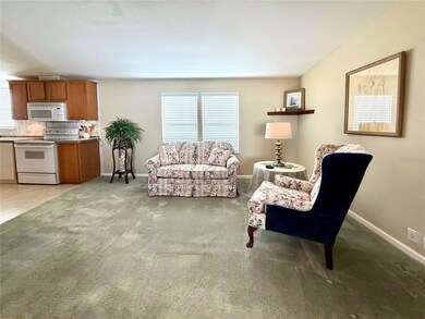 250 S Port Royal Ln, Apollo Beach, FL 33572 - photo 4