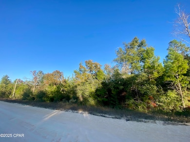 Lot 34 Anderson Dr, Alford, FL 32420 - photo 2