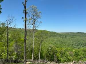 Tract I Ar 7 S, Jasper, AR 72641 - photo 3