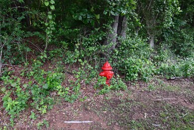 424 Warren Ext St, Warrenton, NC 27589 - photo 7