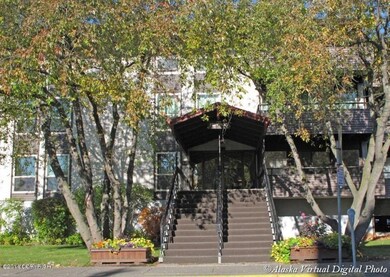 Front Steps