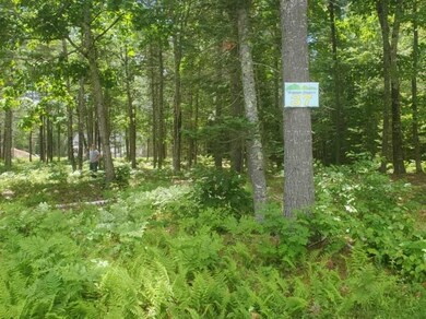 37 Mountain Rd, Center Tuftonboro, NH 03816 - photo 6