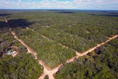 0 Brett Ave unit 25619302, Interlachen, FL 32148 - photo 5