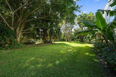 Back yard, so tranquil