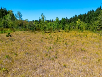 0 London-Weyerhaeuser Rd unit 24578803, Cottagegrove, OR 97424 - photo 7