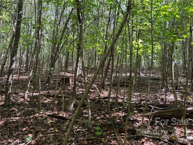 0 Cove Gap Rd unit CAR3913885, Statesville, NC 28625 - photo 2