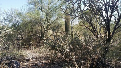 MORE DESERT!