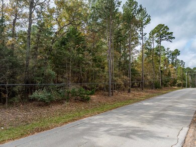 0 Pintail Lot 11, Flint, TX 75762 - photo 3