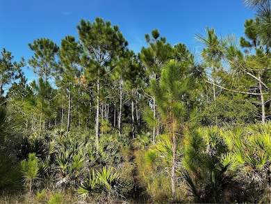 50204 Bermont Rd, Punta Gorda, FL 33982 - photo 3