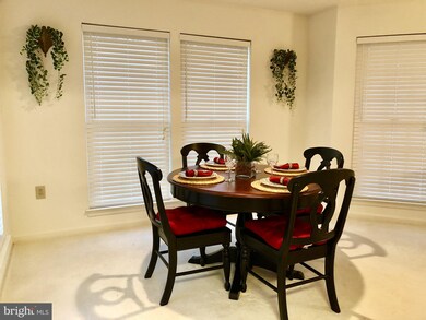 5622 Triplett Rd, Owings Mills, MD 21117 - photo 5