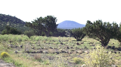 11139 Howard Mesa Loop, Williams, AZ 86046 - photo 6