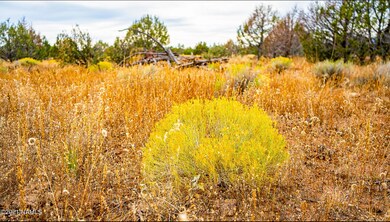 0 Lot 70 Westwood Ranch, Ash Fork, AZ 86320 - photo 5