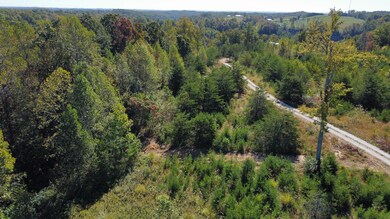 dji_fly_20241010_113542_338_172857483667