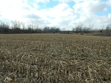 Back Field