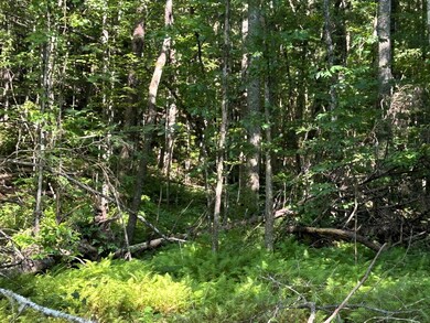 3970 Tennessee 68, Turtletown, TN 37391 - photo 6