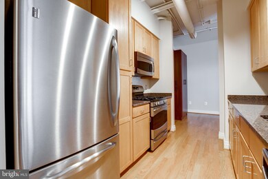 Elan East Market Condominiums unit 301, Fairfax, VA 22033 - photo 7