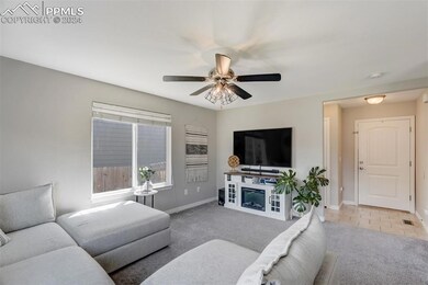 6565 Alliance Loop, Colorado Springs, CO 80925 - photo 4