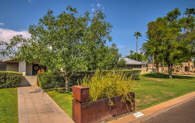 Front View