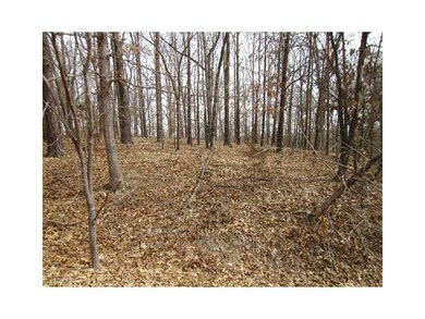 York Dr York Dr & Leeds Ln, Bella Vista, AR 72714 - photo 2