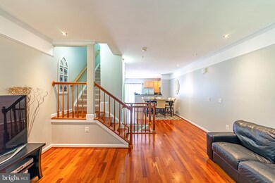 42532 Mayflower Terrace, Ashburn, VA 20148 - photo 5