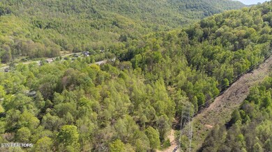 20250211184121599607000000-o