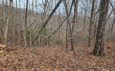Additional View