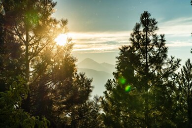 2603 NW Loggan Ct, Bend, OR 97701 - photo 5