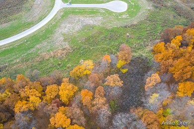 12031 Alden Ct NE, Lowell, MI 49331 - photo 7