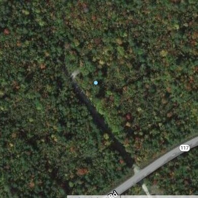 Google map view