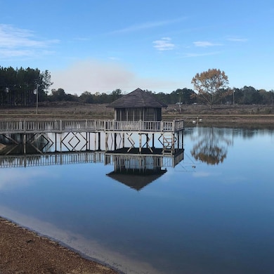 249 Geron Williamson Rd, Lyons, GA 30436 - photo 2