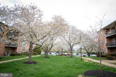 3332 Spring Ln unit C22, Baileys Crossroads, VA 22041 - photo 2