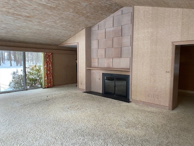 19 Bartlett Ave, Nashua, NH 03064 - photo 5