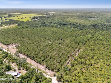 Aerial 3