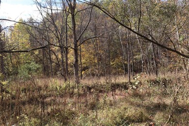 6 Sigman Fork Rd, Liberty, WV 25124 - photo 6