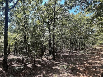 449400 E 988 Rd, Vian, OK 74962 - photo 7