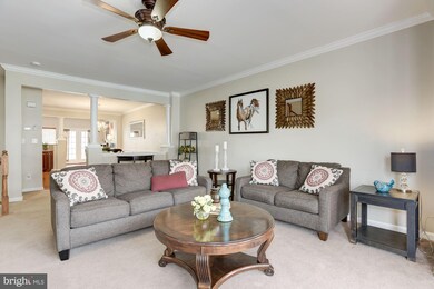 25395 Elm Terrace, Aldie, VA 20105 - photo 5
