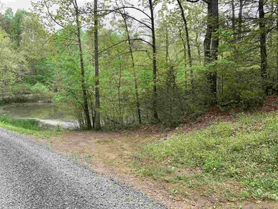TBD Flint Lake Rd, Stanardsville, VA 22973 - photo 3