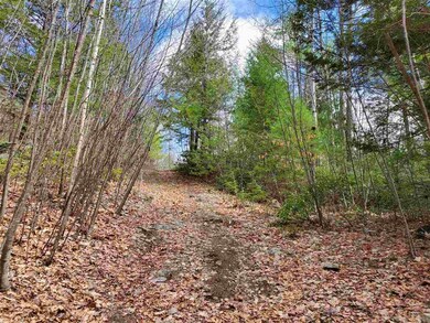 0 Oxbow Rd, Hinsdale, NH 03451 - photo 2