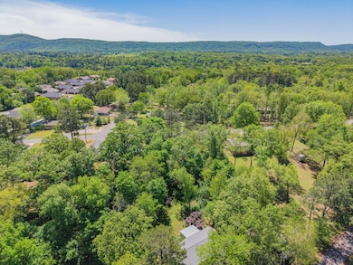 0 Marion Anderson Rd unit 25703820, Hot Springs, AR 71913 - photo 6