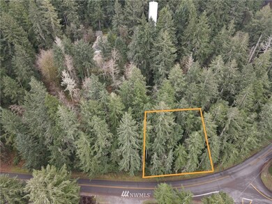 9203 Eckenstam Johnson Rd, Anderson Island, WA 98303 - photo 4