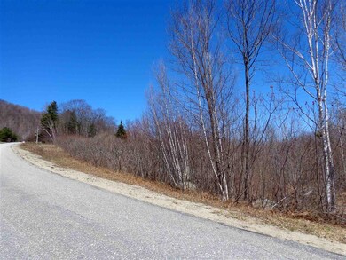 Lot 2 Panorama Ln, Hebron, NH 03241 - photo 7